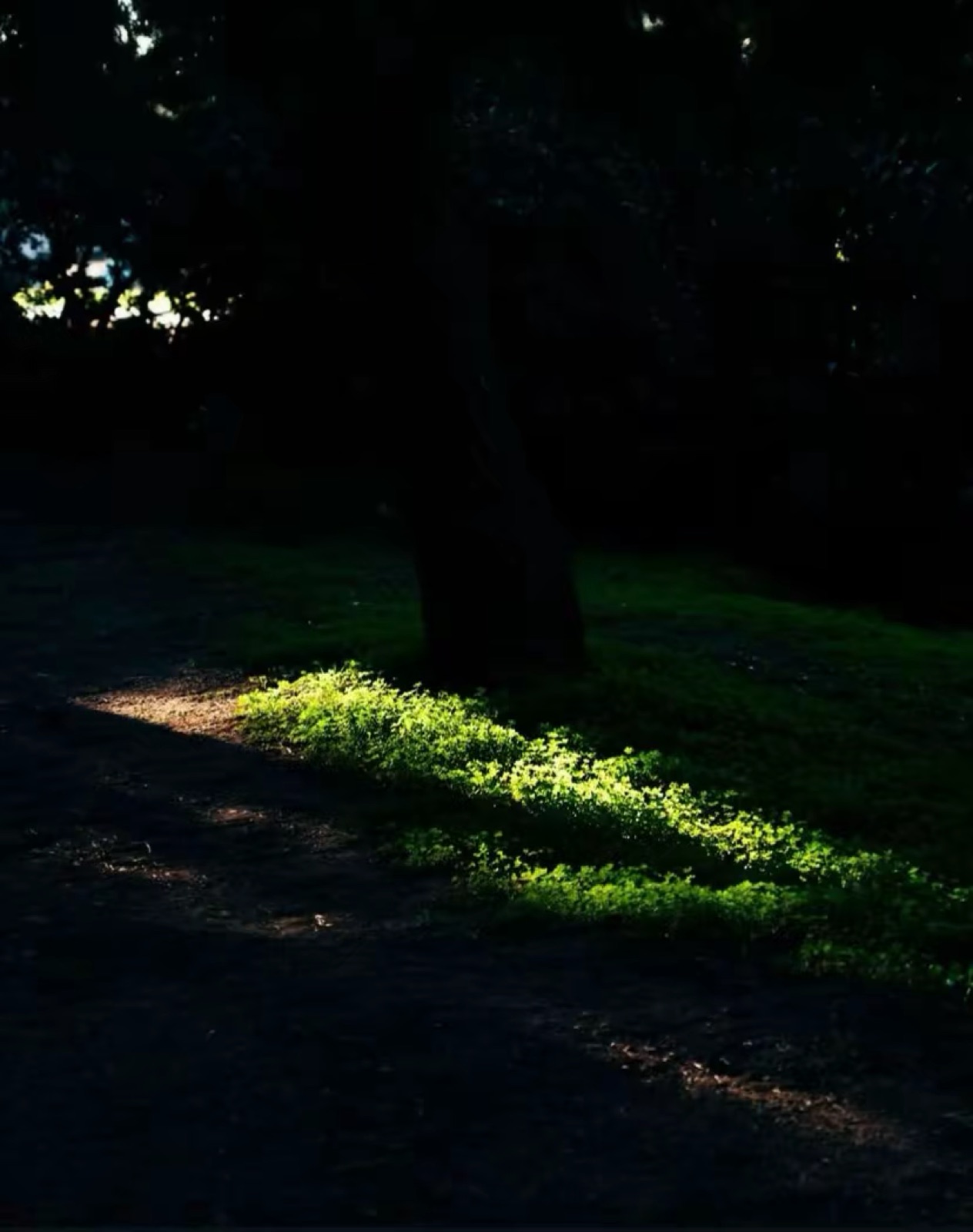 Everyday photograph