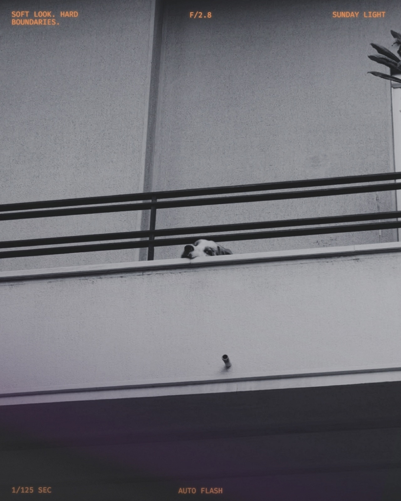 Everyday photograph