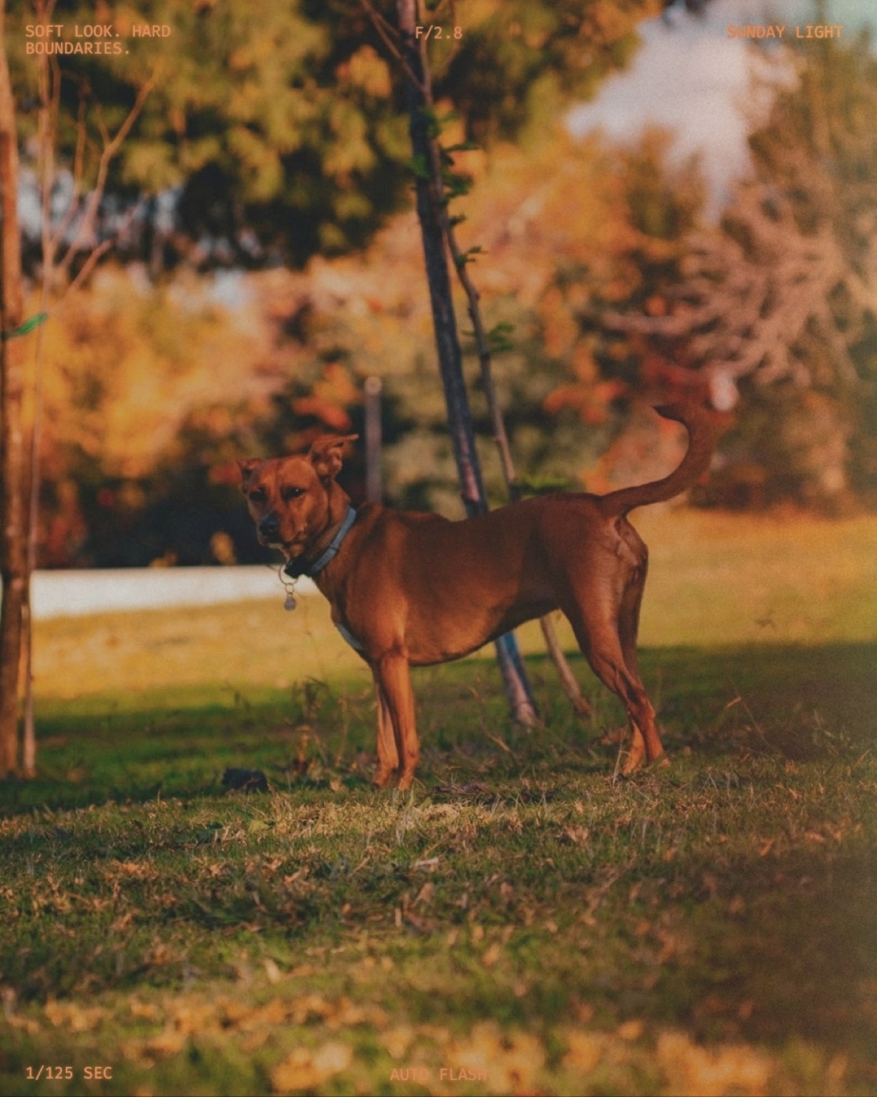 Everyday photograph