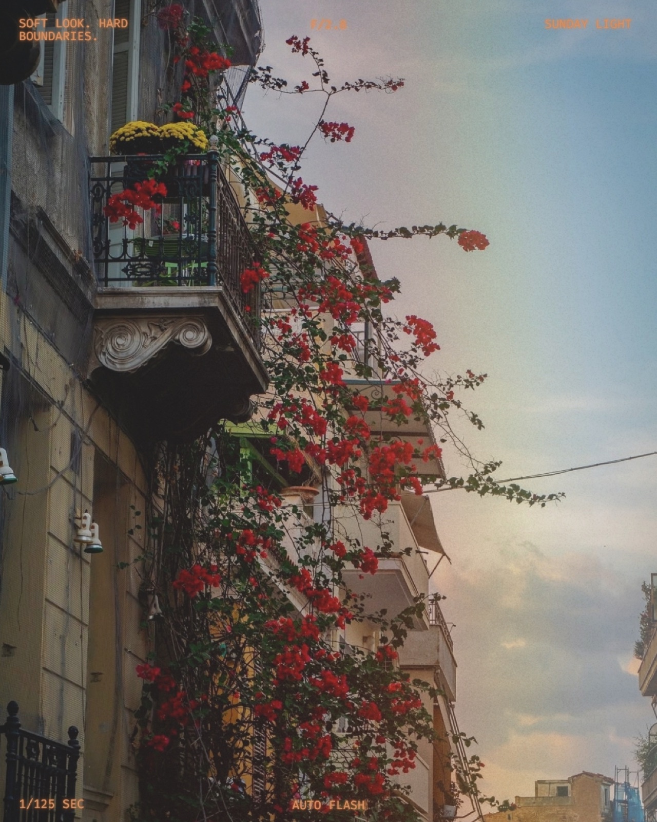 Everyday photograph