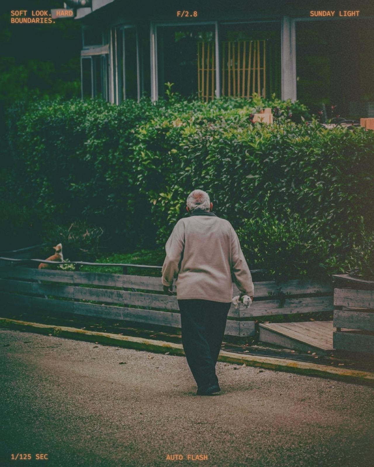 Everyday photograph