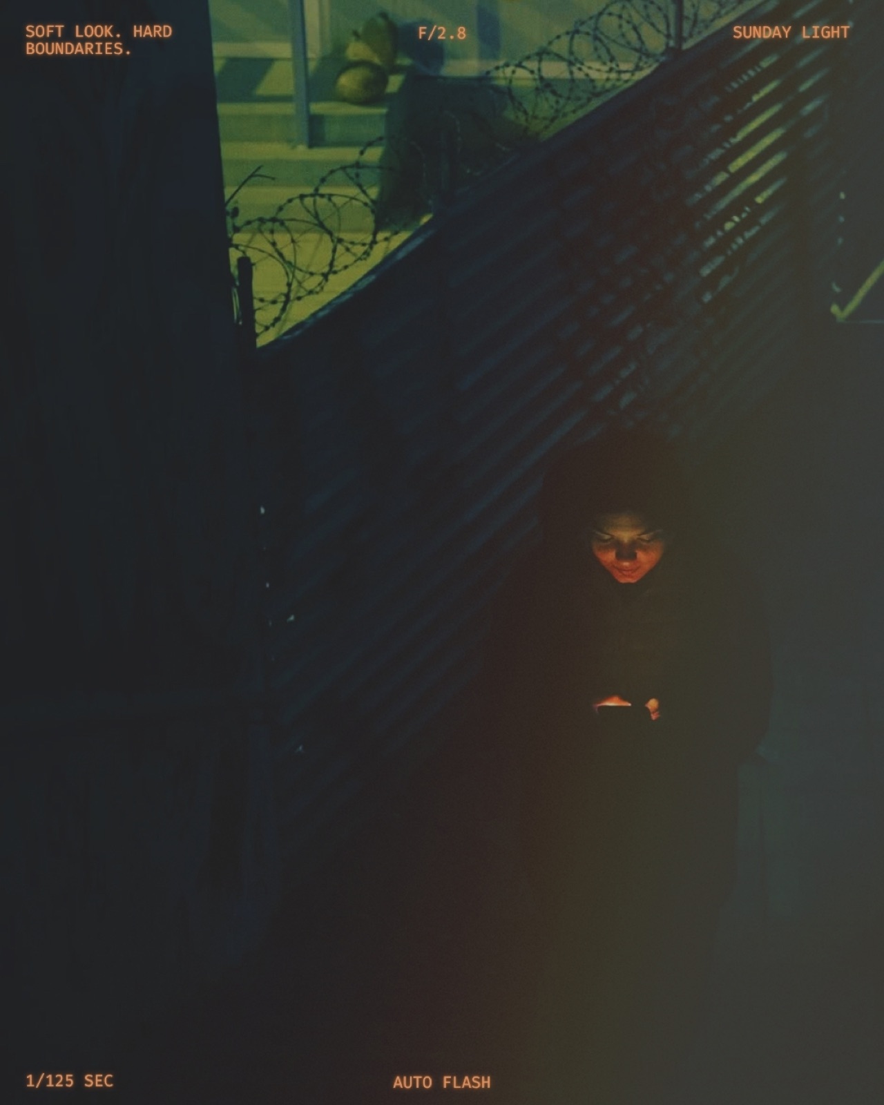 Everyday photograph