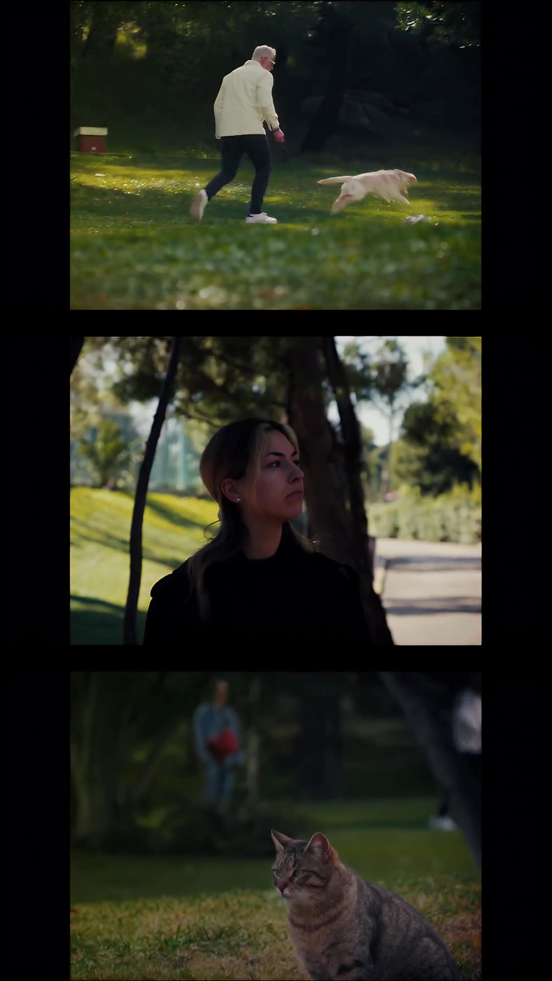 Outdoor nature reel